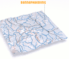 3d view of Ban Na Phak Bung