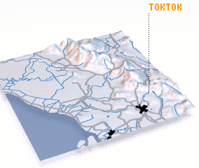 3d view of Tok Tok