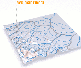 3d view of Beringintinggi