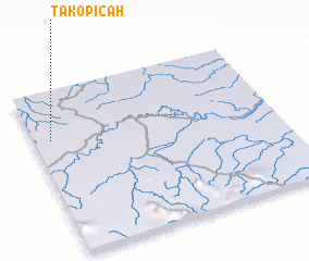 3d view of Takopicah