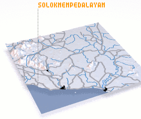 3d view of Solok Mempedal Ayam