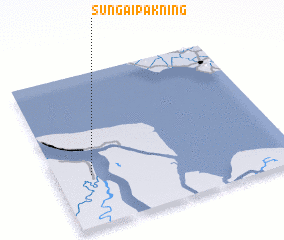 3d view of Sungaipakning