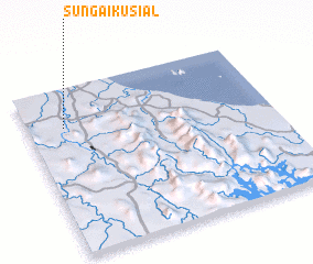 3d view of Sungai Kusial