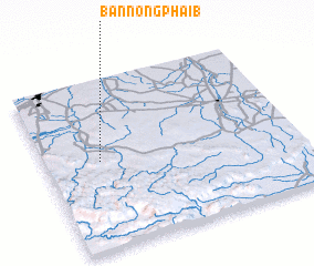 3d view of Ban Nong Phai (1)