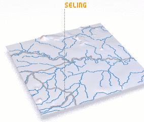 3d view of Seling