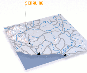 3d view of Senaling