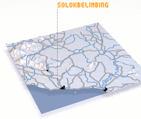 3d view of Solok Belimbing