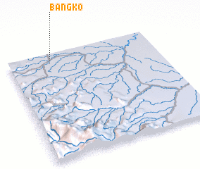 3d view of Bangko