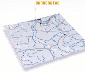 3d view of Ban Nong Tae