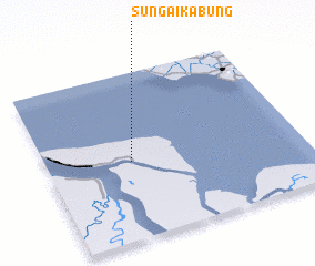 3d view of Sungaikabung