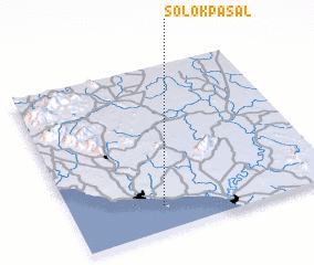 3d view of Solok Pasal