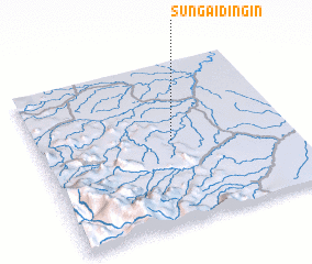 3d view of Sungaidingin
