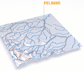 3d view of Pelawan