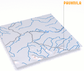 3d view of Pauhnila