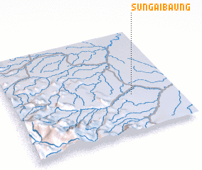 3d view of Sungaibaung