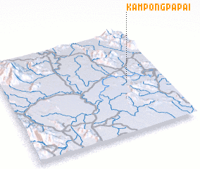 3d view of Kampong Papai