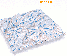 3d view of Vangsim