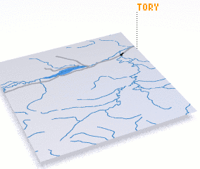 3d view of Tory