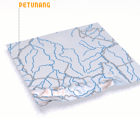 3d view of Petunang