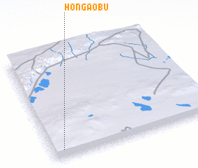 3d view of Hong\