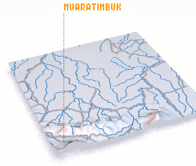 3d view of Muaratimbuk