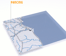 3d view of Pancing