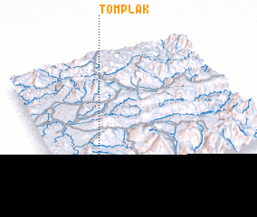 3d view of Tôm Plak