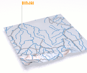 3d view of Binjai