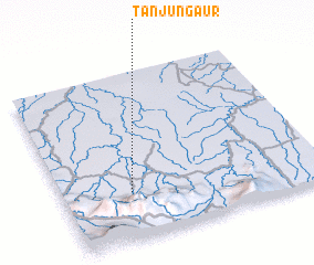 3d view of Tanjungaur