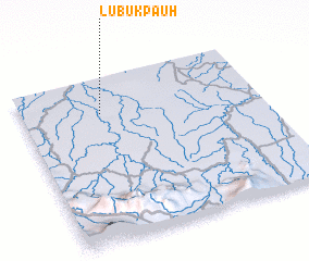 3d view of Lubukpauh
