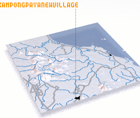 3d view of Kampong Paya New Village