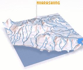 3d view of Muarasaung