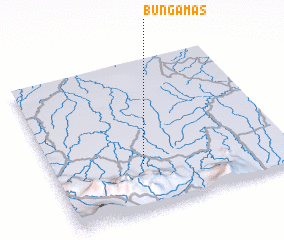 3d view of Bungamas