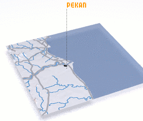 3d view of Pekan