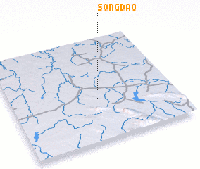 3d view of Song Dao