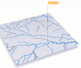 3d view of Toman