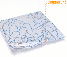 3d view of Lubukbetung