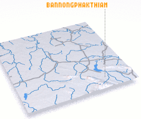 3d view of Ban Nong Phak Thiam