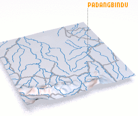 3d view of Padangbindu