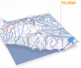 3d view of Telanai