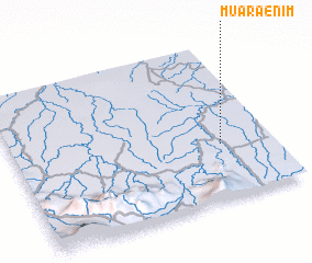 3d view of Muaraenim