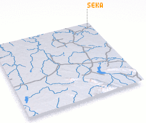 3d view of Seka