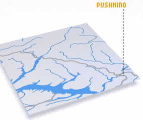 3d view of Pushmino