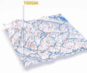 3d view of Tong Ho