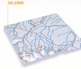 3d view of Seleman