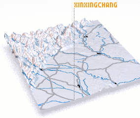 3d view of Xinxingchang