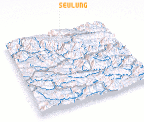 3d view of Seu Lung