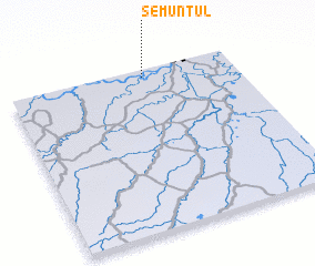 3d view of Semuntul