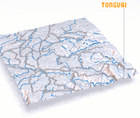 3d view of Tong Vai