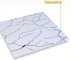 3d view of Timoshinsk